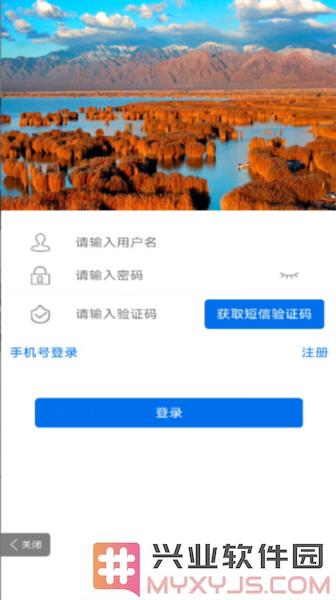 宁夏税务app截图2