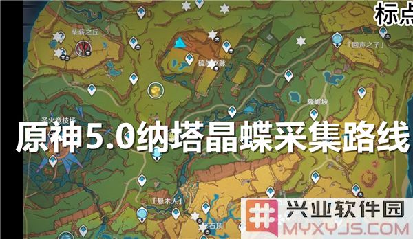 在原神5.0中寻找纳塔晶蝶，探秘神秘花蝶采集地点