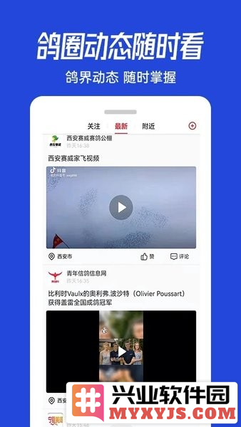 青鸽网app截图3