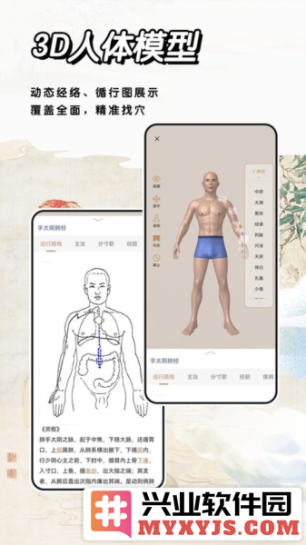 经络穴位标准指南app截图2