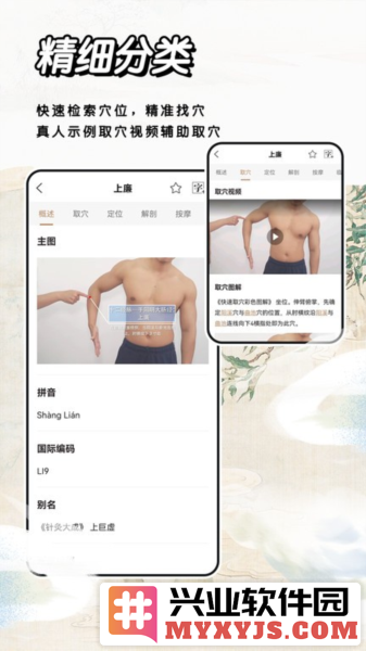 经络穴位标准指南app截图3