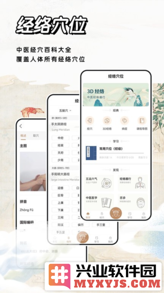 经络穴位标准指南app截图1