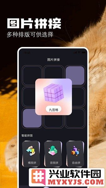 布偶相机app截图3