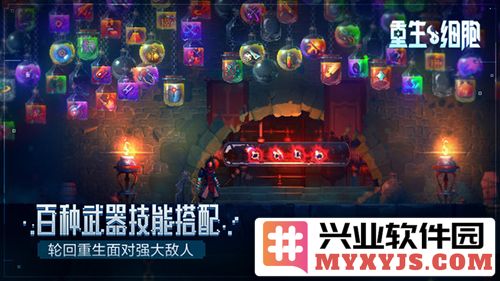 重生细胞1.60.9免付费版本截图4